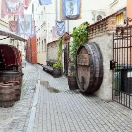 Lux-apartment In Medieval Part Of Old